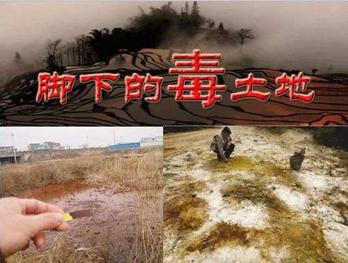 土壤樣品采集開(kāi)始啦 安國(guó)中藥材(中國(guó)藥典品種)質(zhì)量可追溯項(xiàng)目( 2020 ) 土壤樣品采集開(kāi)始啦 安國(guó)中藥材(中國(guó)藥典品種)質(zhì)量可追溯項(xiàng)目( 2020 )