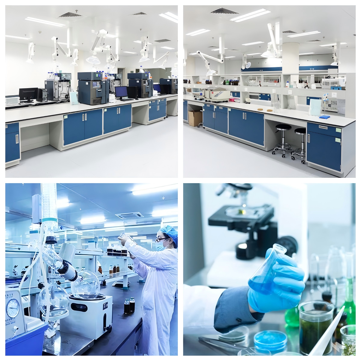 中藥新藥委托研發(fā)服務 中藥新藥委托研發(fā)服務